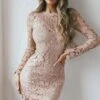 Reinhart Lace Overlay Mini Dress Mocha
